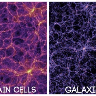 brain-cell-galaxy