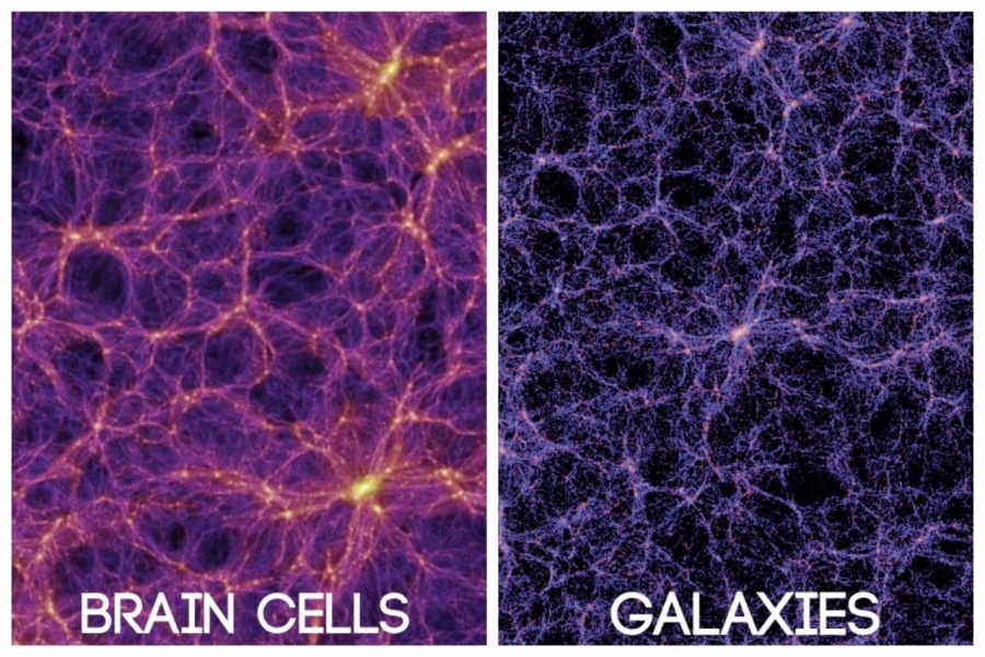 brain-cell-galaxy