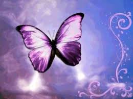 papillon-violet